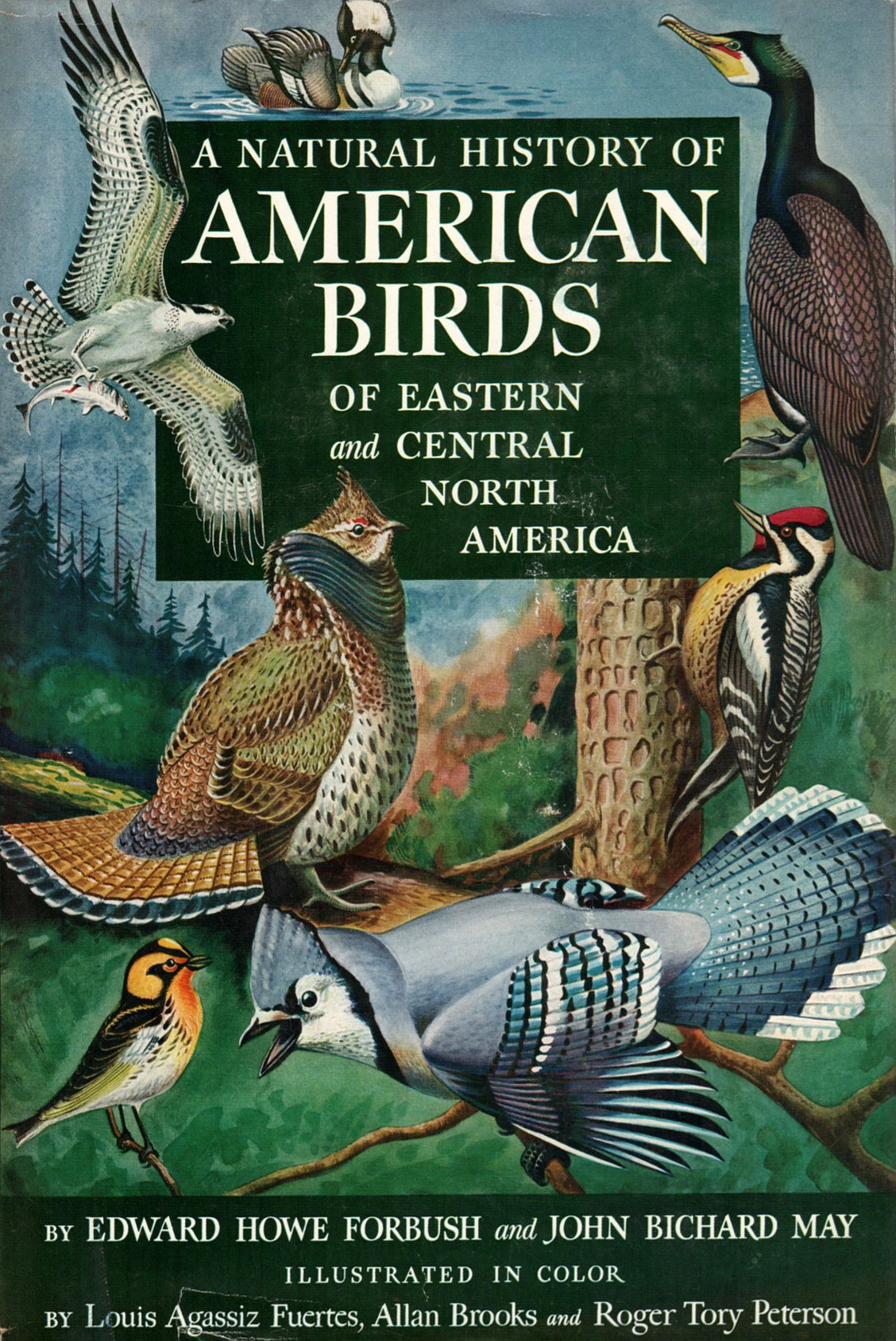 A Natural History of American Birds (Forbush & May)