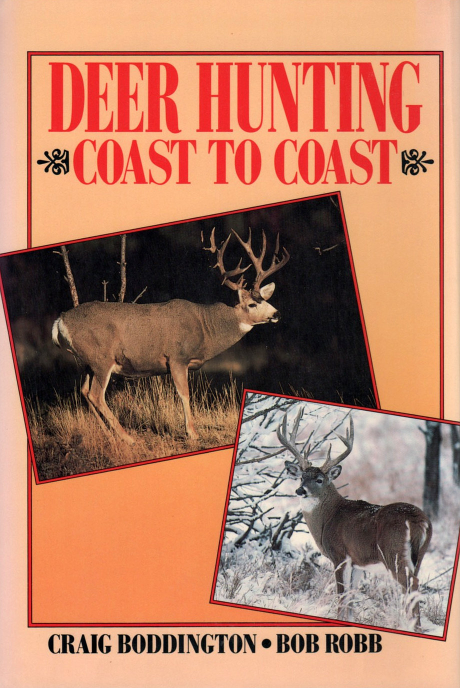 Deer Hunting Coast to Coast (Boddington and Robb)