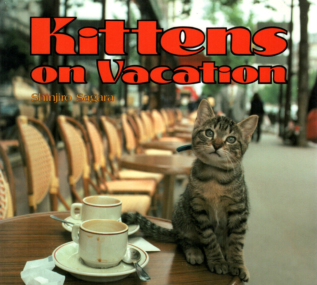 Kittens on Vacation (Shinjiro Sagara)