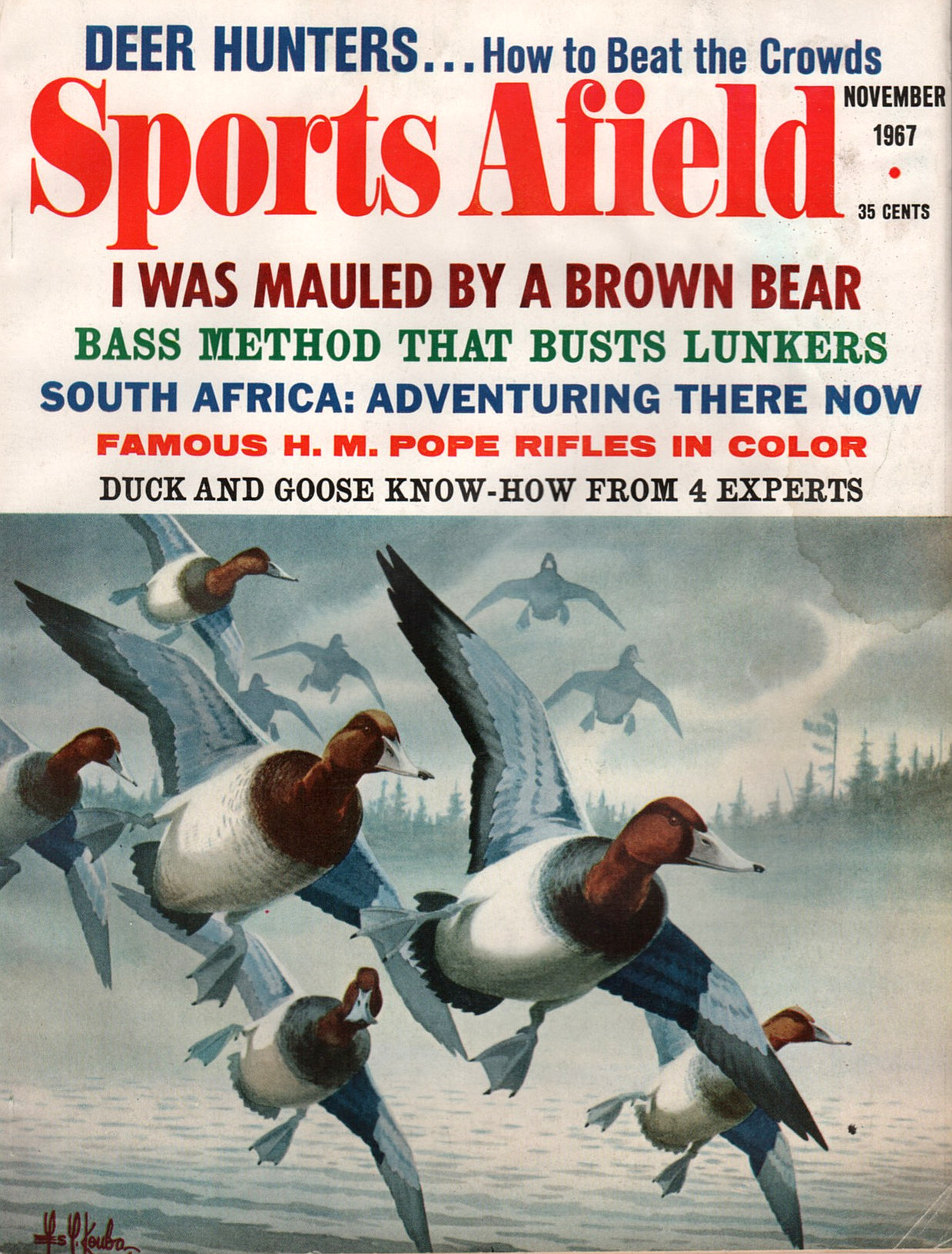 Sports Afield 1967/11