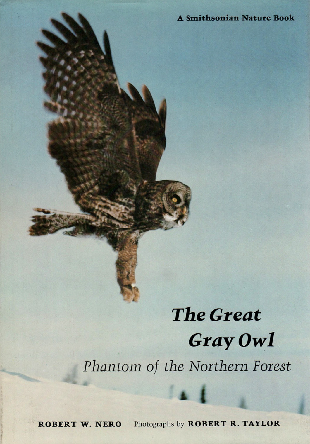 The Great Gray Owl (Robert Nero)