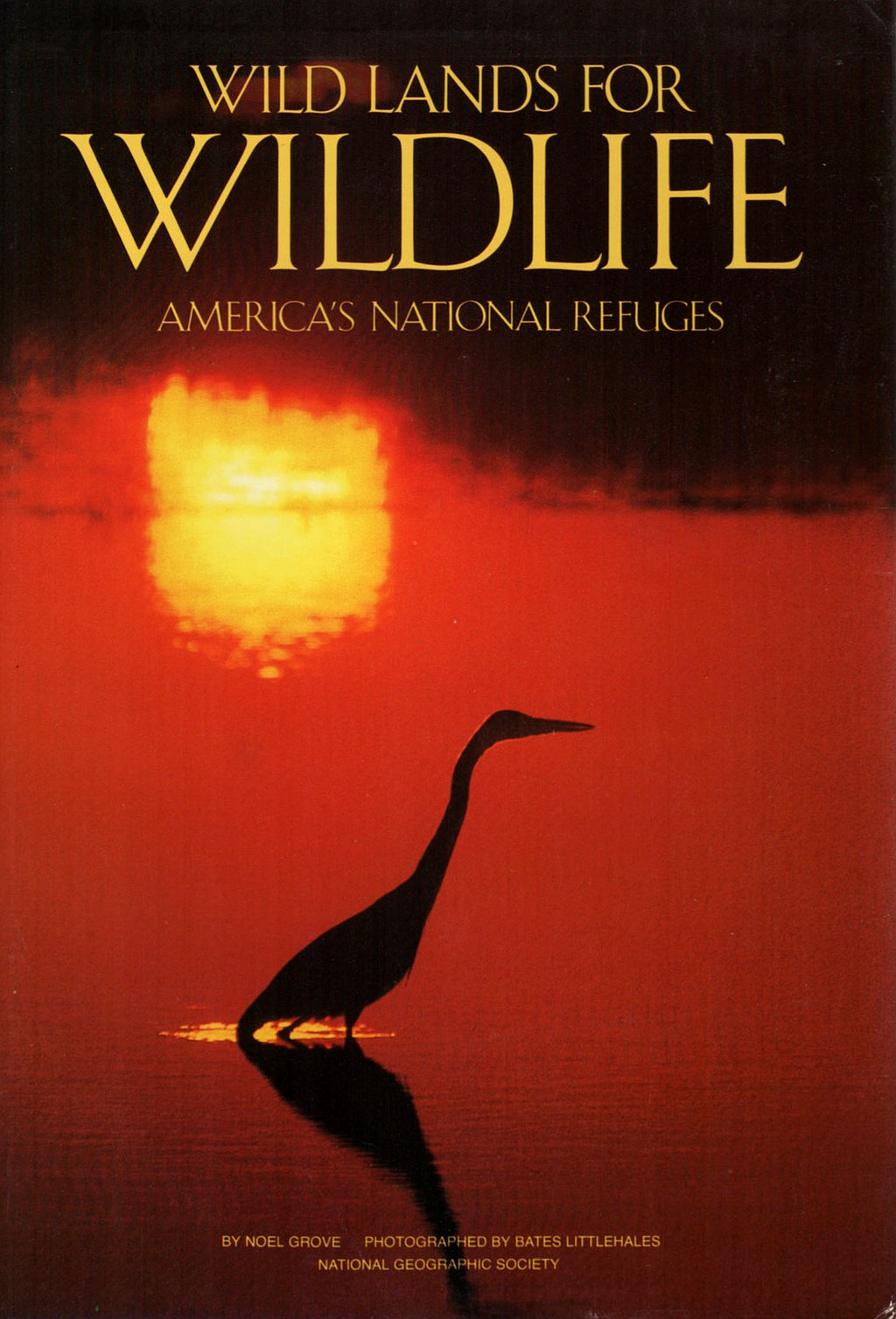Wild Lands for Wildlife (Noel Grove)