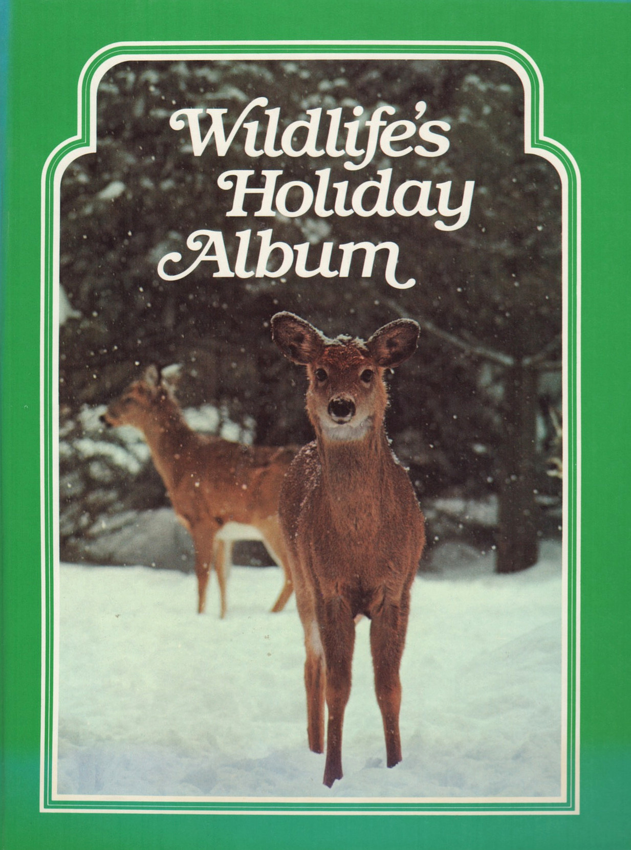 Wildlife's Holiday Album (National Wildlife)