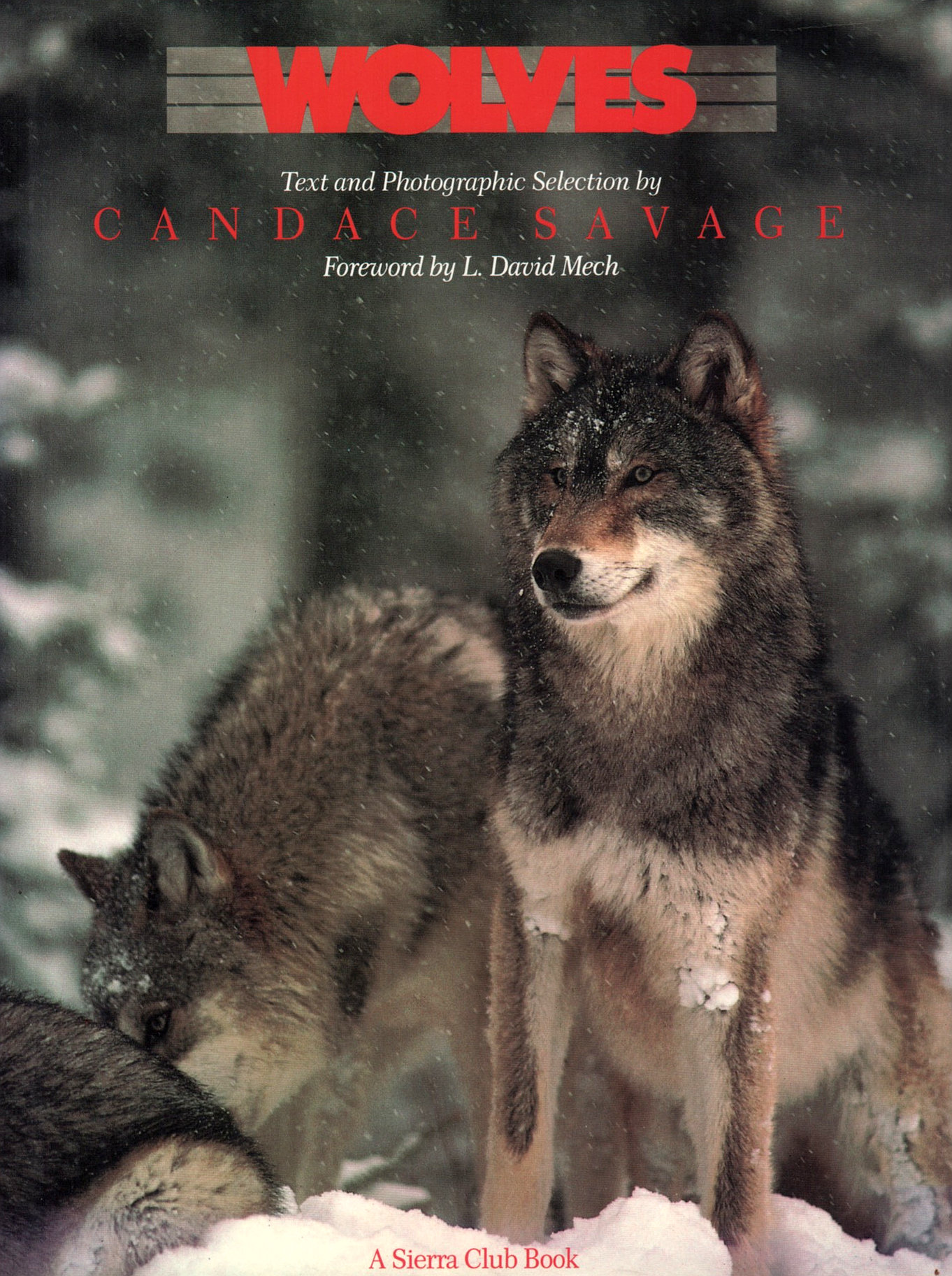 Wolves (Candace Savage)